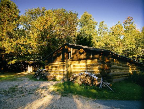 Forest History Center
